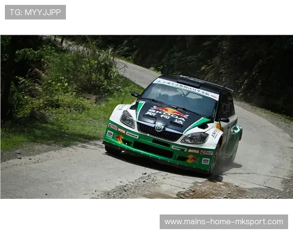 拉力车队开展山地赛段模拟，车辆表现稳定